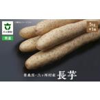 長芋 5kg×1箱