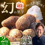 里芋 2キロ