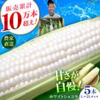 白いとうもろこし 5本
