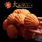 太陽のマドレーヌ4個セット