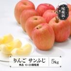 りんご サンふじ 秀品 5kg