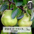 ラフランス 訳あり 無印品 5kg