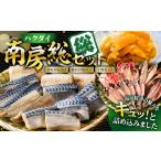 ハクダイ南房総セット 総 mi0012-0146