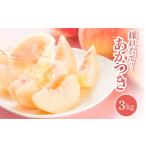 ふるさと納税 【2026年先行受付】長野県 南信州飯田産 桃 あかつき 約3kg1箱 | 果物 くだもの フルーツ 桃 もも あかつき ジューシー 長野県 飯.. 長野県飯田市