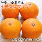 カラマンダリン 約5kg