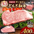 宮福笑牛 とちぎ和牛 A5 サーロインステーキ