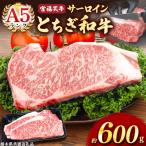 宮福笑牛 とちぎ和牛 A5 サーロインステーキ