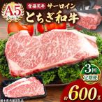 宮福笑牛 とちぎ和牛 A5 サーロインステーキ