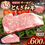 宮福笑牛 とちぎ和牛 A5 サーロインステーキ