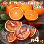 訳あり ブラッドオレンジ モロ タロッコ4kg