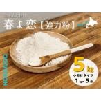 強力粉1kg×5袋 計5kg