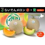 ふるさと納税 【先行予約】メロン 北海道 共和町産 らいでんメロン 赤・青 各1玉 セット 赤肉 青肉 詰合せ フルーツ 果物 産地直送 JAきょうわ .. 北海道共和町