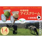 ミタアイス業務用2個入りセット アイス