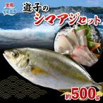 シマアジ セット 遊子産 計 500g