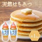 はちみつ 約1kg
