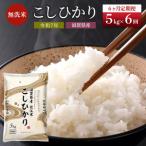 コシヒカリ お米 5kg