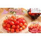 さくらんぼ 500g