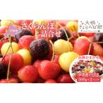 さくらんぼ 500g