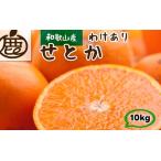 せとか 10kg+250g 痛み補償分 光センサー