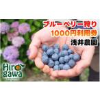 ブルーベリー 狩り 1000円×2枚 利用券