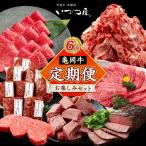 亀岡牛 牛肉 お楽しみセット