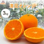Saito Orange Farmの清見オレンジ3kg