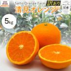 Saito Orange Farmの訳あり清見オレンジ5kg
