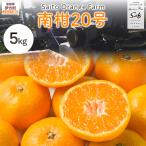 Saito Orange Farmの南柑20号5kg