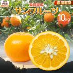 農園直送 産サンフルーツ 10kg
