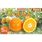 農園直送 いよかん 5kg