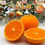 農園直送 きよみ 10kg
