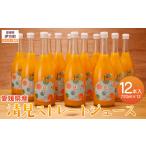 清見ストレートジュース 720ml×12本入り