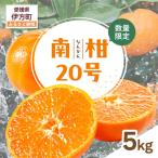 南柑20号 生果 5kg