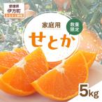 せとか 生果 5kg
