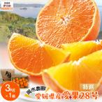 岡市農園 愛果28号 特選 3kg×1箱
