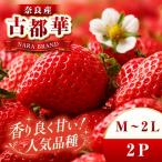 平群の古都華 いちご 大粒 4L