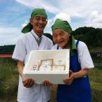 地元 ブランド 豆漉 とうふ 詰合せ 充実 セット