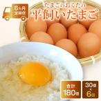 平飼いたまご 30個