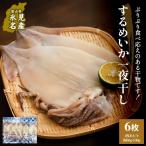 するめいか一夜干し 6枚