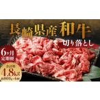 和牛 切り落とし 800g