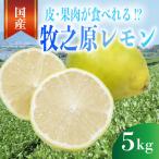 5kg