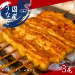 加須の名店うなぎ荒川のうなぎ蒲焼 3尾