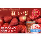紅い雫 冷凍イチゴ 1.5kg