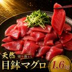 天然めばちマグロ 切り落とし マグロ 1.6kg