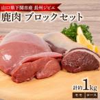 訳あり 鹿肉 ロース モモ ブロック 計約1kg