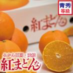 ふるさと納税 【先行予約】【2025年11月下旬以降順次発送】数量限定 紅まどんな 青秀 等級 化粧箱 L玉〜5L玉 高級 紅まどんな 柑橘 フルーツ 個.. 愛媛県松山市