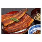 ふるさと納税 M383　【うなぎ屋かわすい】国産うなぎ蒲焼　3種×2セット(計600g以上)(ウナギ　鰻　ひつまぶし)　 和歌山県