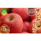 ふるさと納税 ≪先行予約≫【訳あり】【家庭用】 山形県産サンふじりんご 約5kg 《2026年12月上旬より順次発送予定》 バラ入り りんご リンゴ 林.. 山形県中山町
