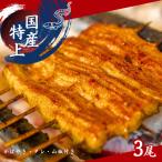 加須の名店うなぎ荒川の特上うなぎ蒲焼3尾