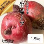 レッド パワー ビーツ 約1.5kg